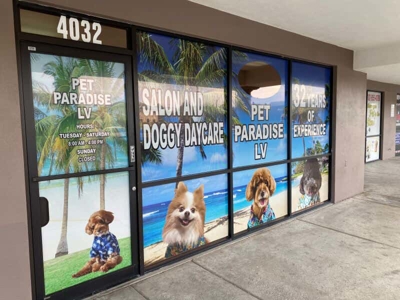 Window Graphics Photo